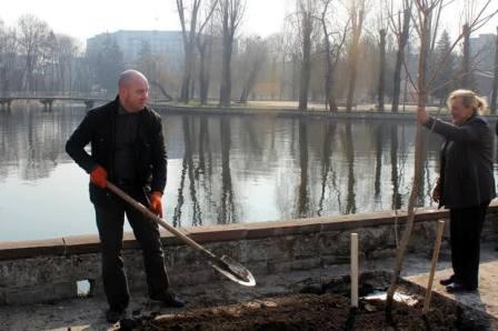 надал, дерева, фото, тернопільський тиждень