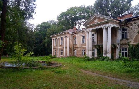 заліщики, нижній парк, палац бруницьких, фото, дмитро фірташ, власник, приватизація, тернопільський тиждень