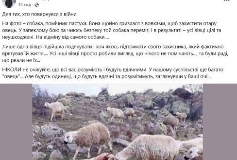 сайт, тернопільський тиждень, автори, власник, фото, тернопільський тиждень