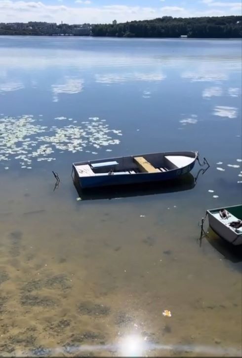 тернопільський став, очищення, фото, тернопільський тиждень