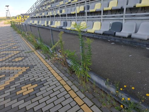 водна арена, стан, фото, розгром, тернопільський тиждень