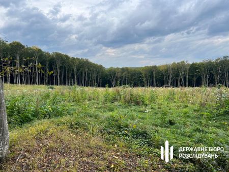 лісгосп, бережани, скандали, крадіжки, вирубка, корупція, фото, тернопільський тиждень